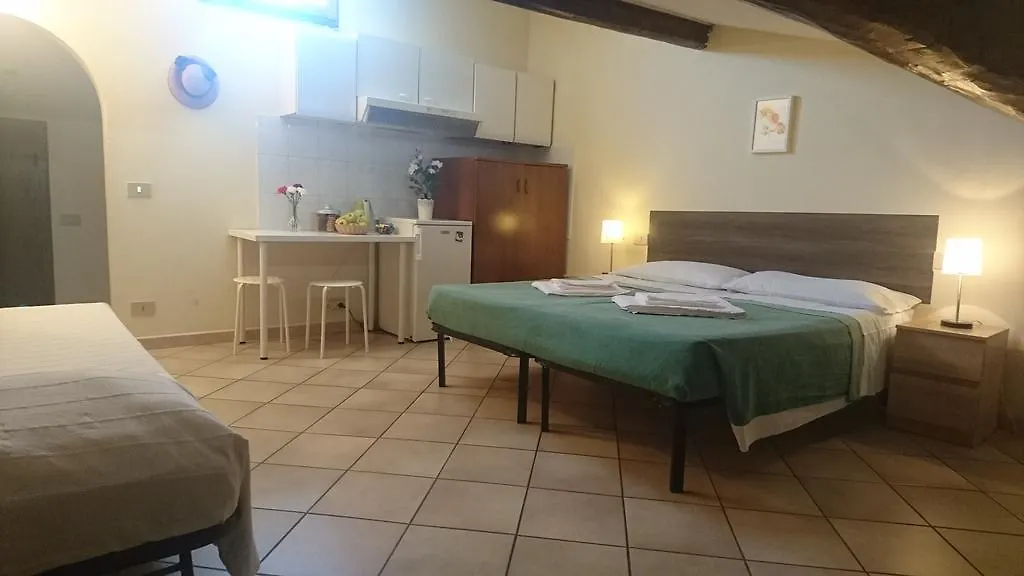 Pisa Lodge B&B Hostel Guest house