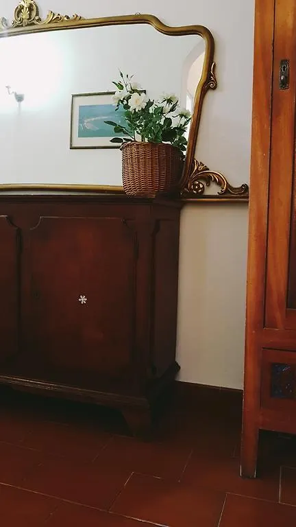 Guest house Pisa Lodge B&B Hostel